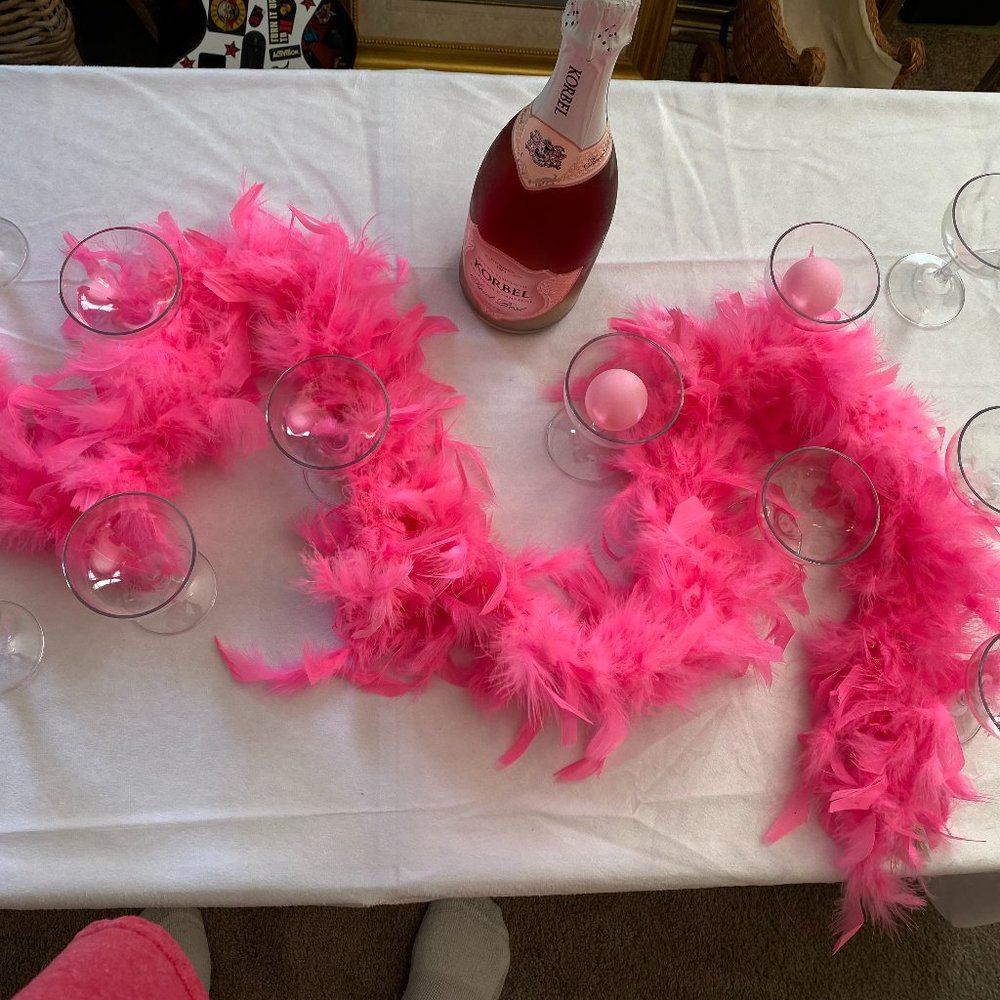 Proseco Party Game- Great for Girls Nite Out